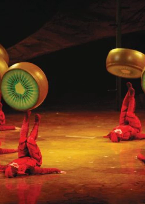 Le Cirque du Soleil