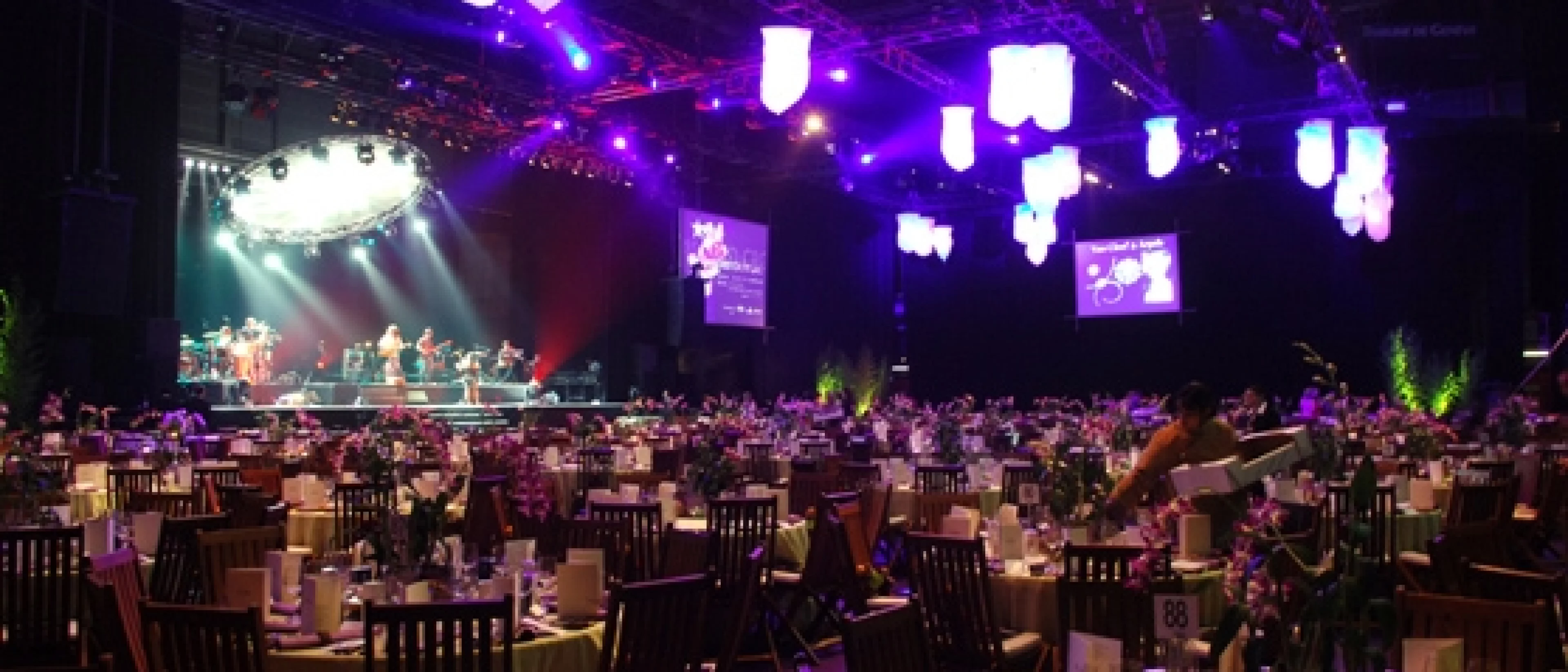 Bal de la Croix-Rouge Suisse