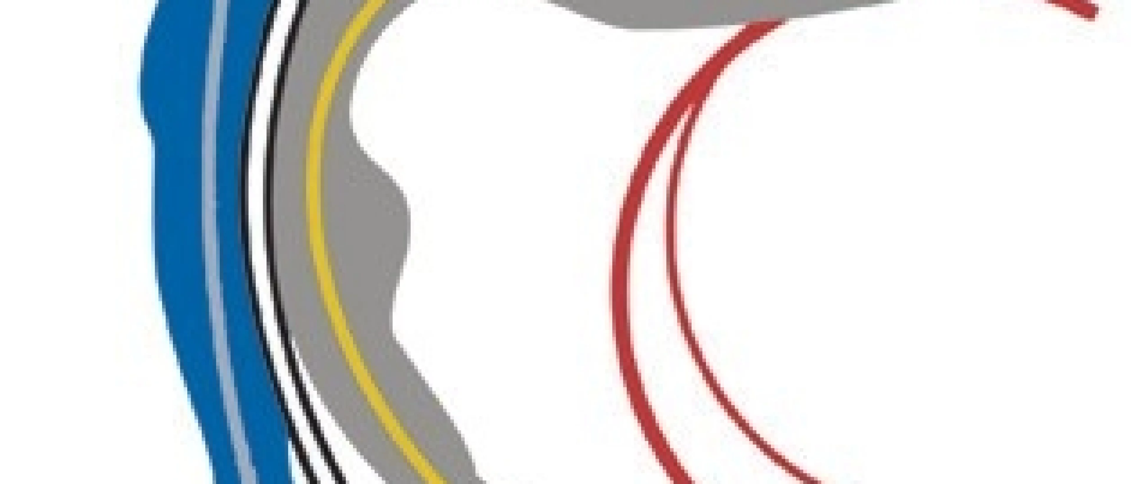 Gala Fédération Internationale de Gymnastique