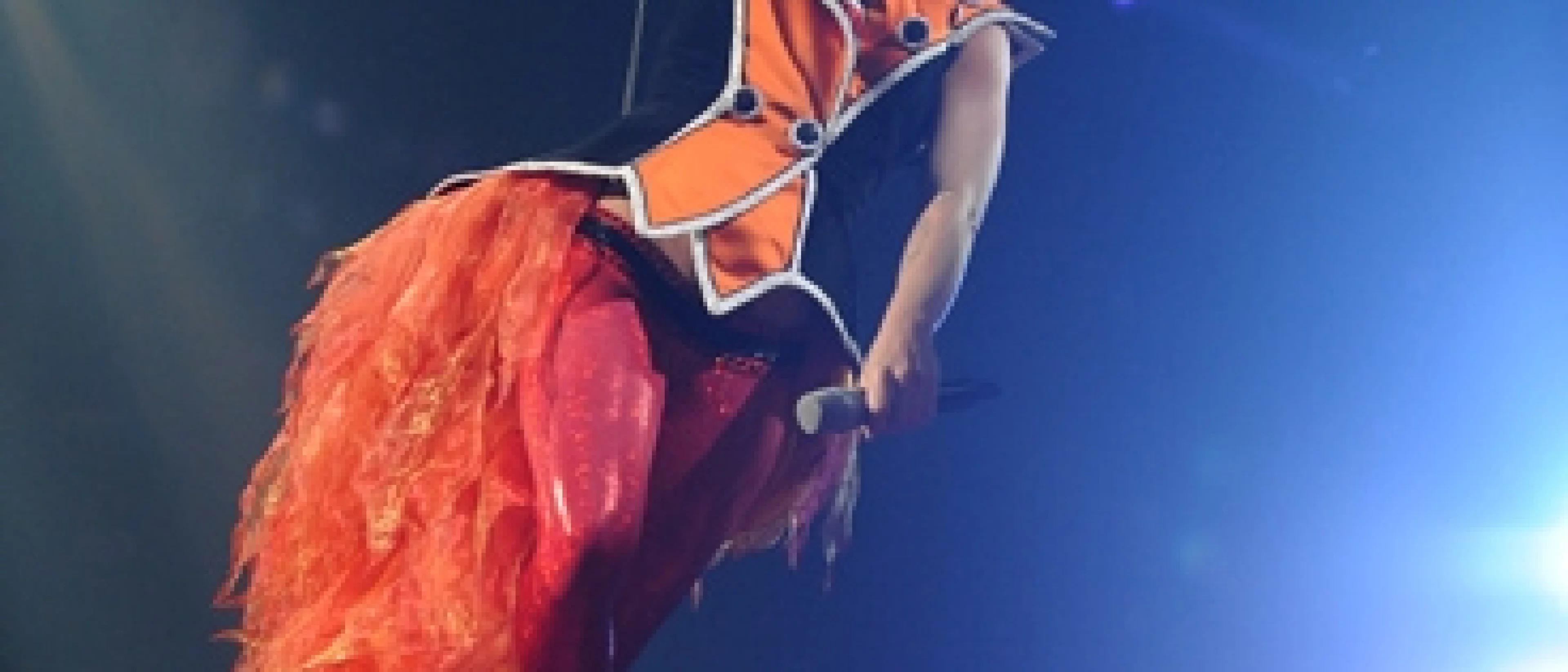 PINK (1ère partie : Raygun)