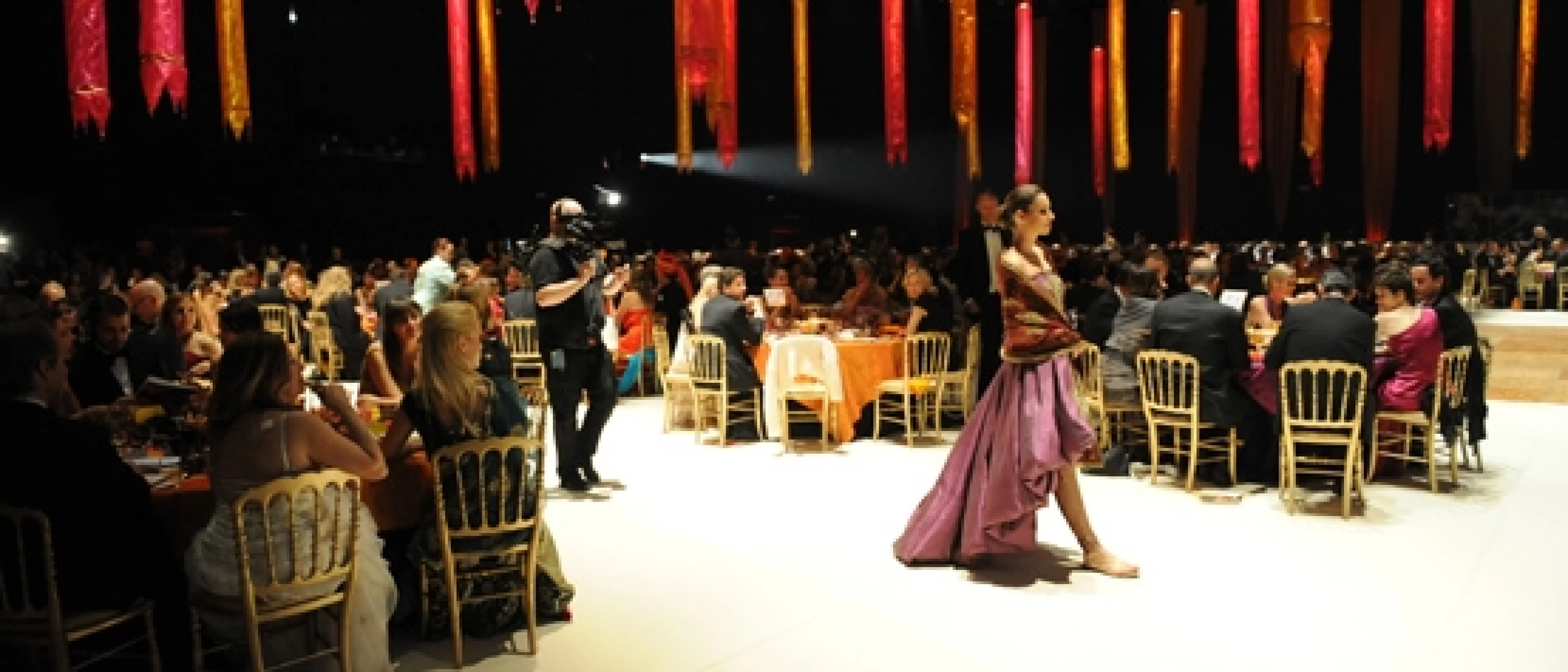 Bal de la Croix-Rouge suisse 2010 – Splendeur de l’Inde