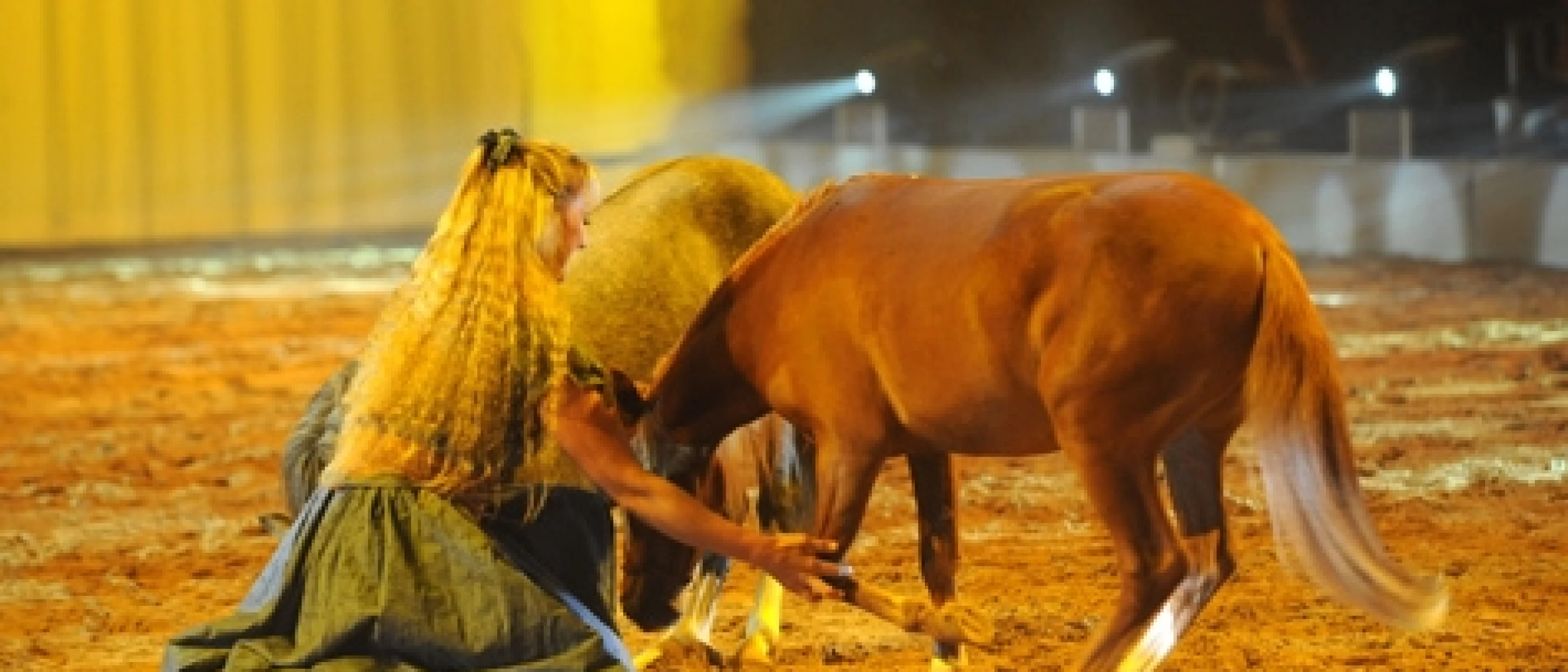 APASSIONATA "Charm of Freedom"