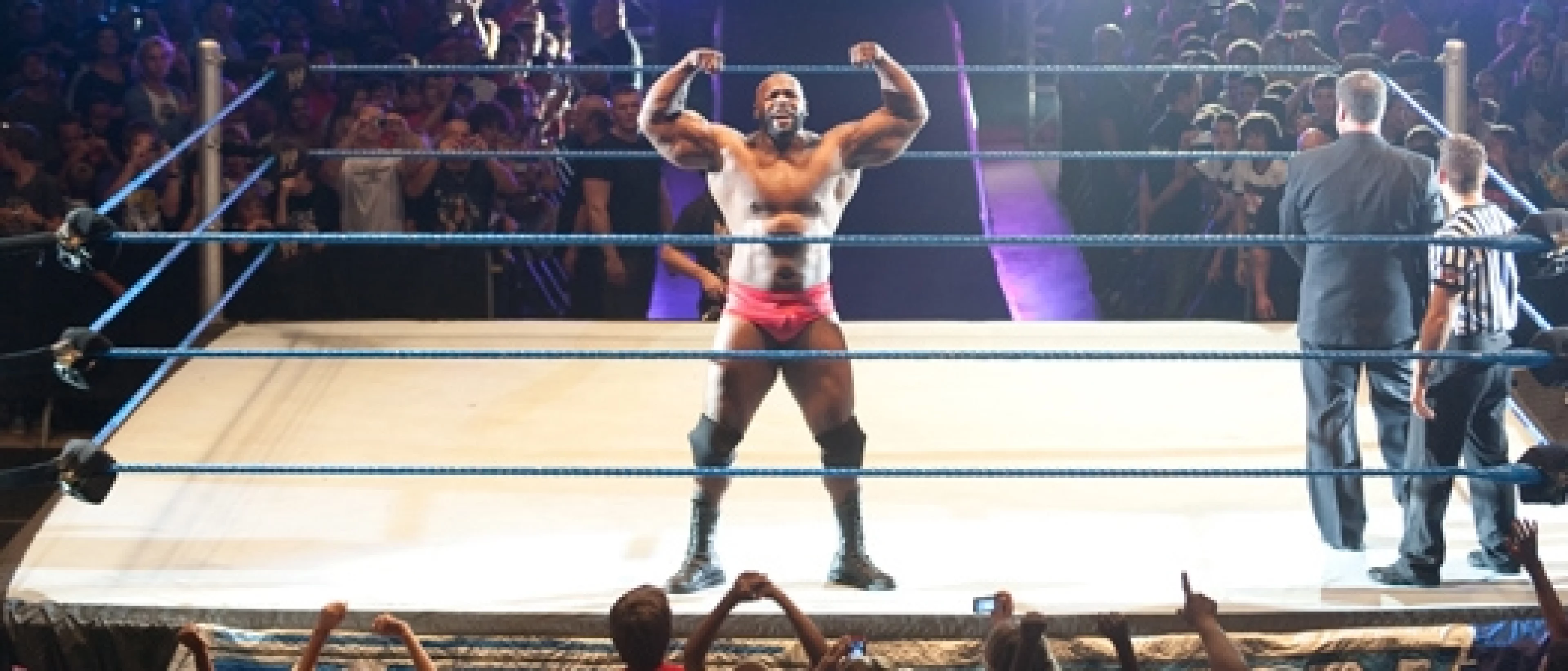 WWE World Tour 2011 (catch)