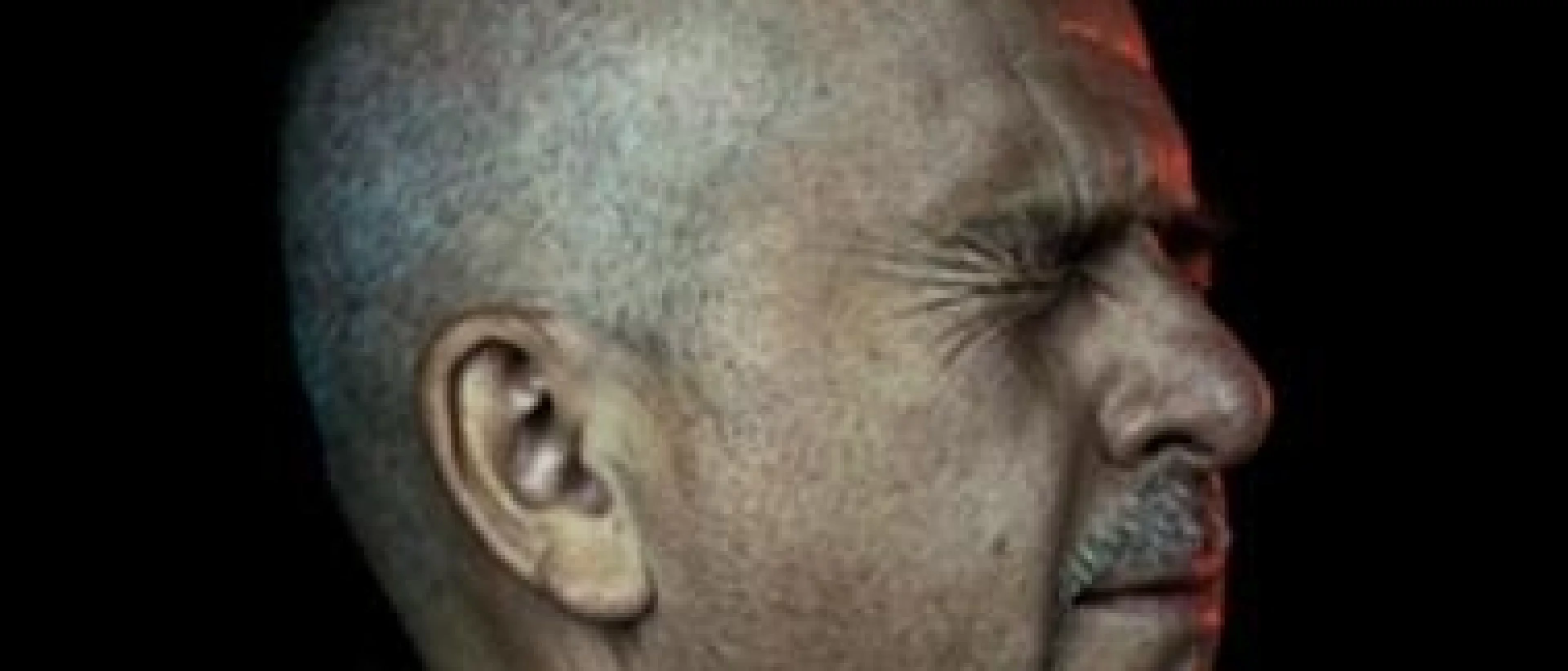 Peter GABRIEL (1ère partie : Jennie and Linnea)