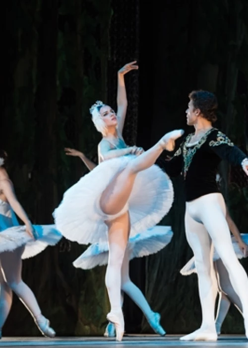 Les Ballets de St Petersbourg présentent "Le Lac des Cygnes"