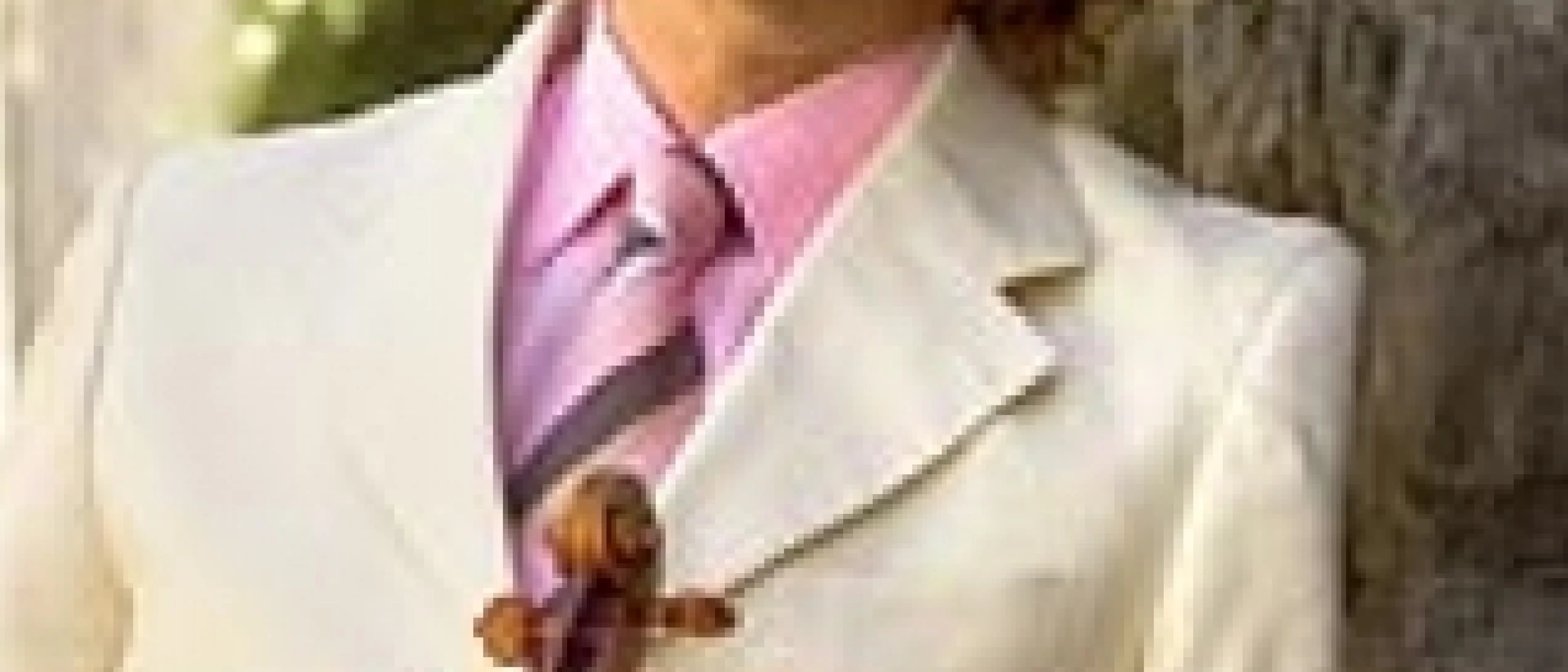 (André RIEU)  Reporté