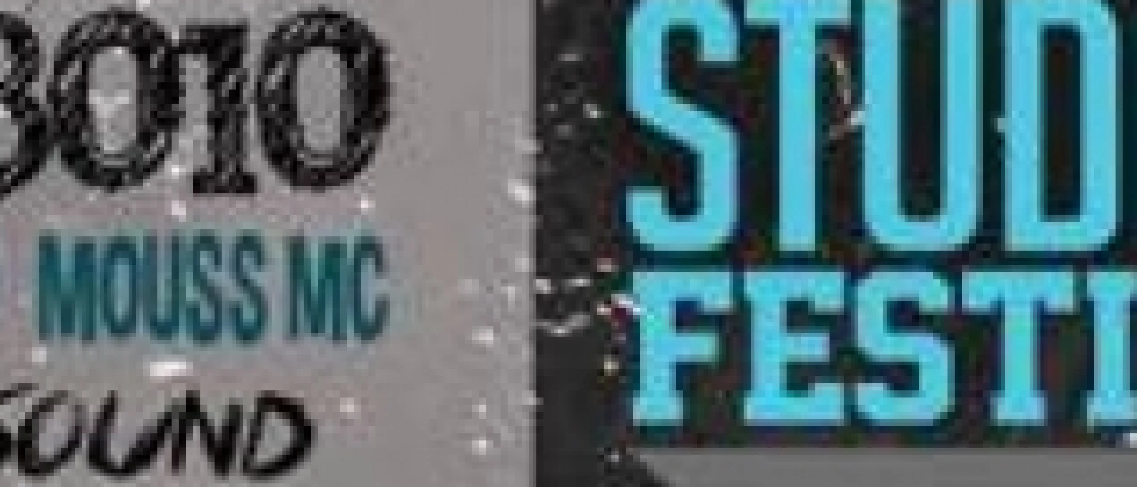 Swiss Student Festival