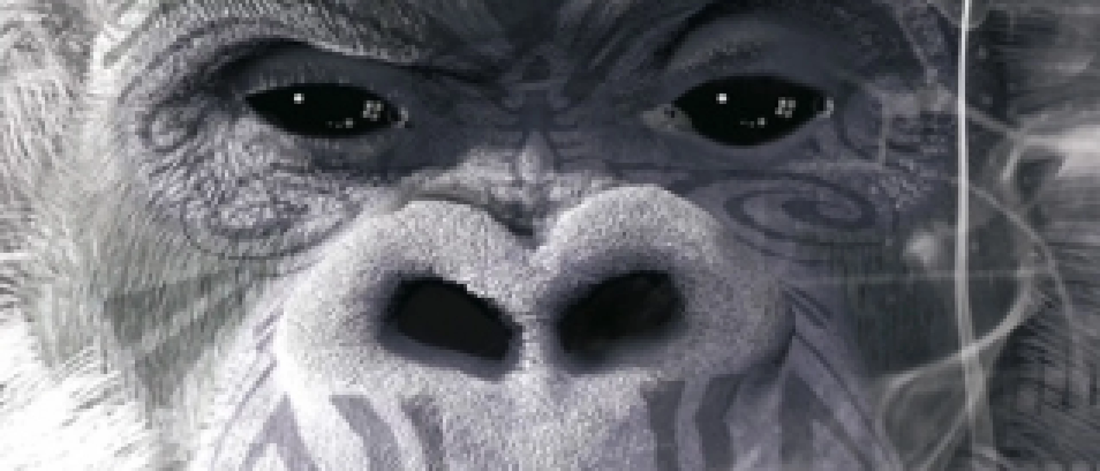 SHAKA PONK  "The Pixel Ape Tour" (1ère partie : Ina Ich)