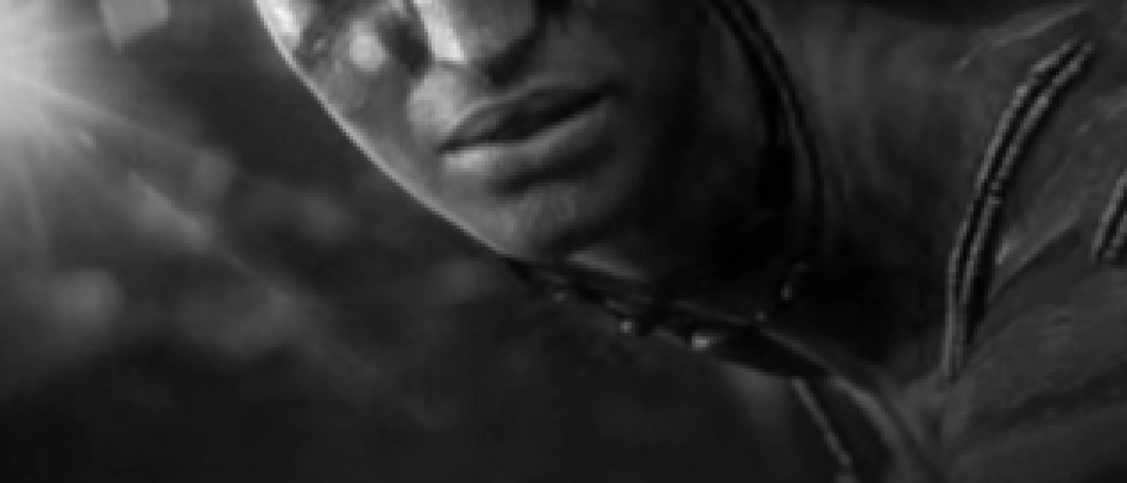 (AVATAR Live in concert)