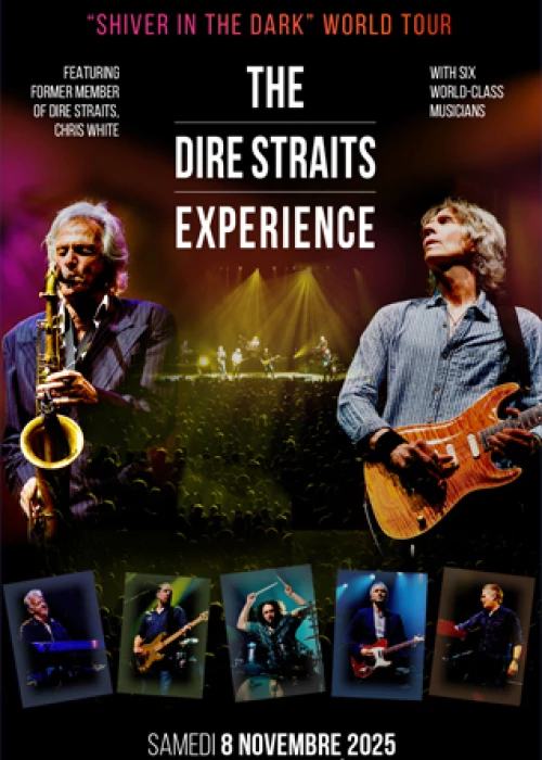 The DIRE STRAITS Experience